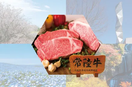 肉のイイジマ 通販 常陸牛 牛肉 ギフト お肉 お取り寄せ 水戸 茨城 公式